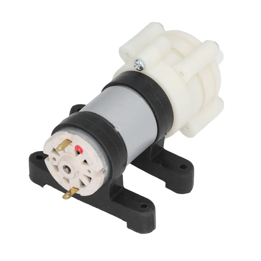 12 Dc pump motor