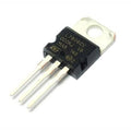 7806 Regular